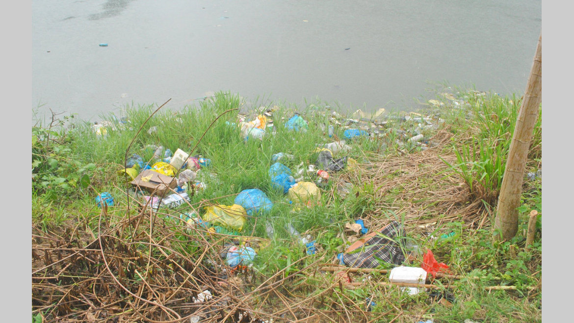 Image923